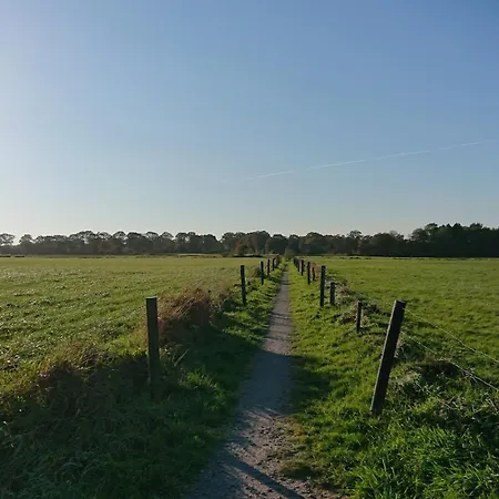 דירה Habbo's Kojen