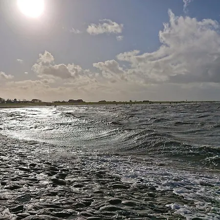 דירה Habbo's Kojen