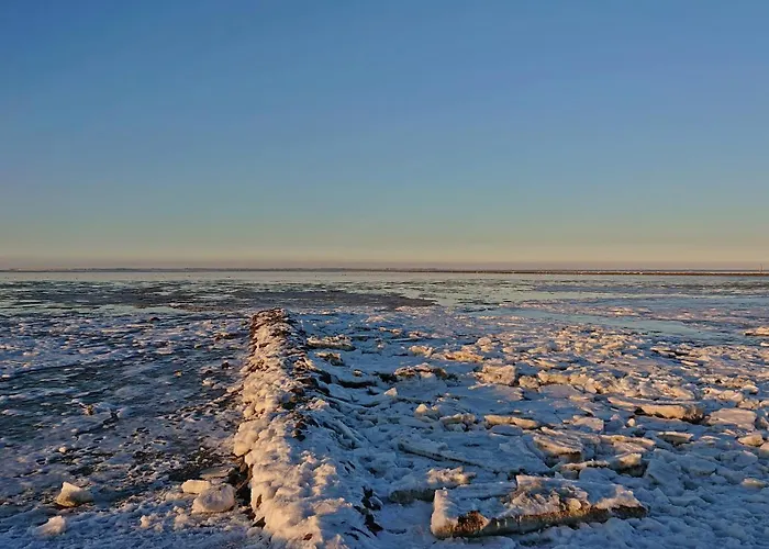 Apartman Habbo's Kojen