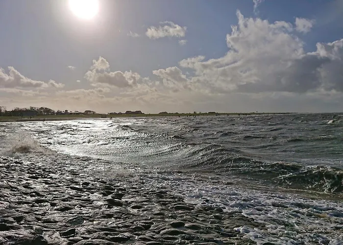 Apartman Habbo's Kojen